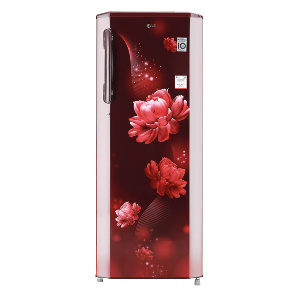 LG 270 L Single Door Refrigerator (GLB281BSCX)