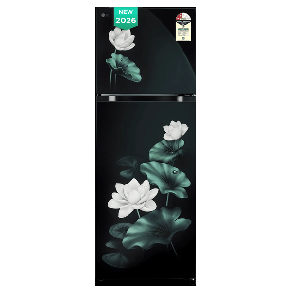 LG 251 Litres 2 Star Frost Free Double Door Refrigerator with Inverter Compressor (GLT2526XWOB)