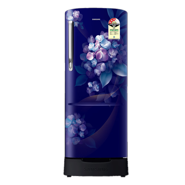 Samsung  223 L 3 Star Single Door Refrigerator (RR24H2823HS)