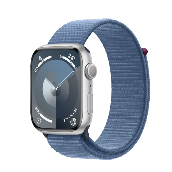 Apple Watch Series 9 GPS + Cellular 45mm,ML Silver (IWS9CEL45MMSIMLMRMQ3)