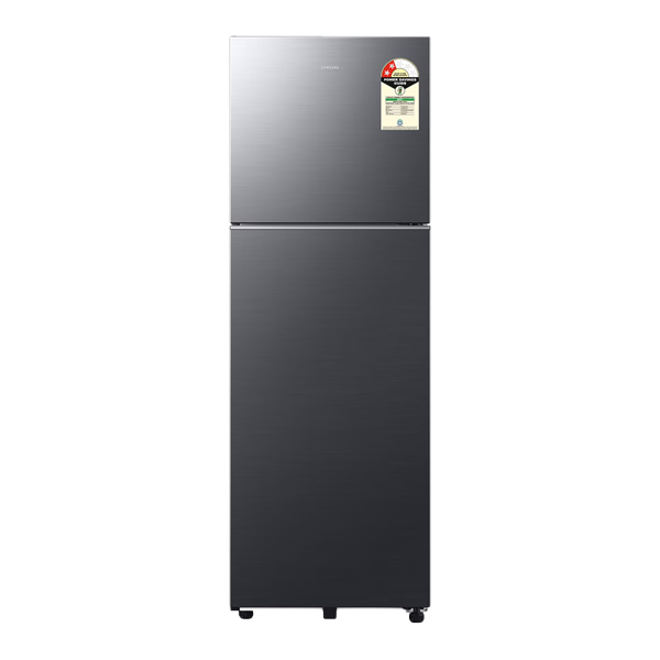 Samsung 256 L, 2 Star, Digital Inverter Frost Free Double Door Refrigerator (RT40H30W2K)