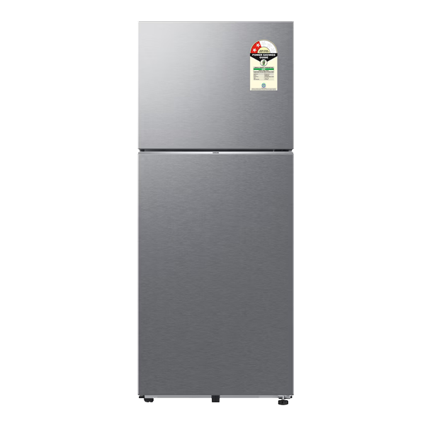 Samsung Double Door Refrigerator with Bespoke AI 419 L (RT45HG6A22SL)