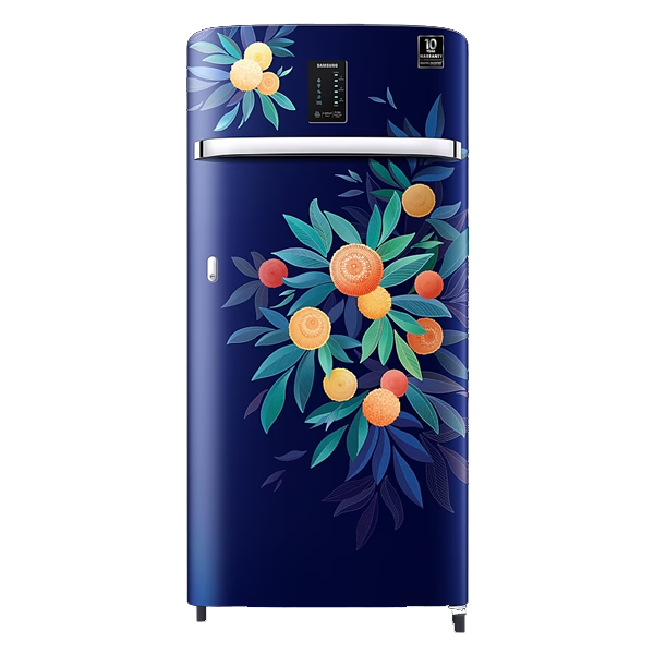 Samsung 189L Digi-Touch Cool™ Single Door Refrigerator (RR21C2E25NK)