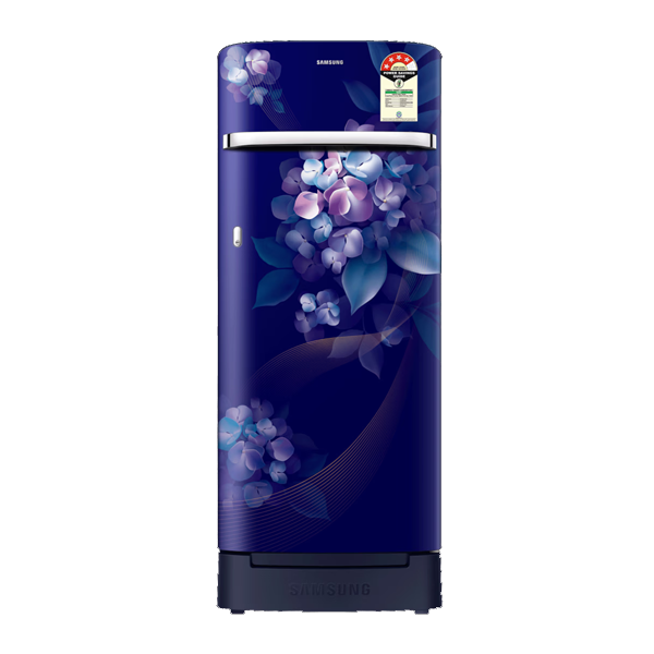 Samsung 215 L 4 Star Single Door Refrigerator (RR23H2H34HS)