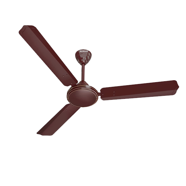 Havells 1200mm Thrill Decor Energy Saving Ceiling Fan (48THRILDECORBEE2.01S)