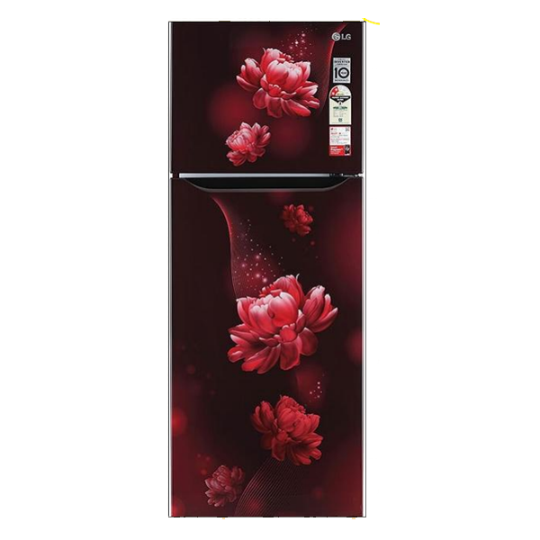 LG 242 L 2 Star Smart Inverter Frost-Free Double Door Refrigerator (GLN292BSEY, Scarlet Euphoria)