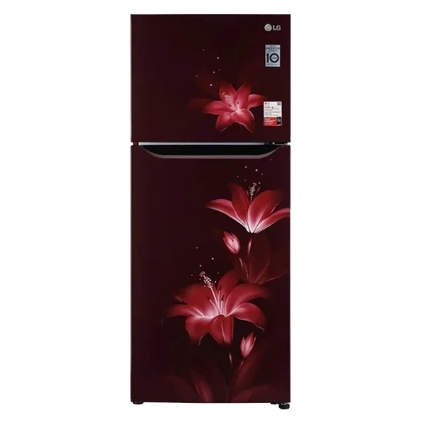 LG 260 Litres Double Door Refrigerator (GLN292BRGY)