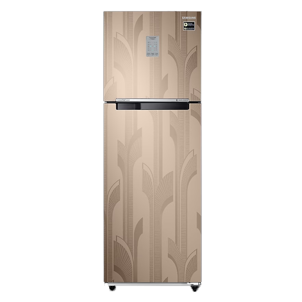 Samsung 256L Convertible Freezer Double Door Refrigerator (RT30C3732YB)