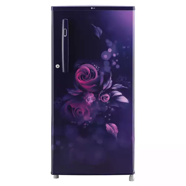 LG 190 L 3 Star Inverter Single Door Refrigerator (GLD199OBEX)