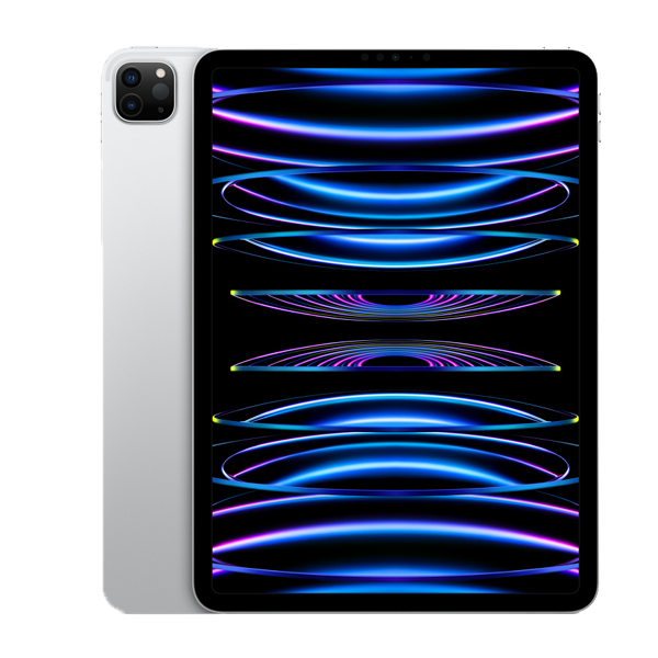 Apple 11-inch iPad Pro Wi-Fi, 1TB 4th Gen Silver (IPDPRO114GWC256MNYF3)