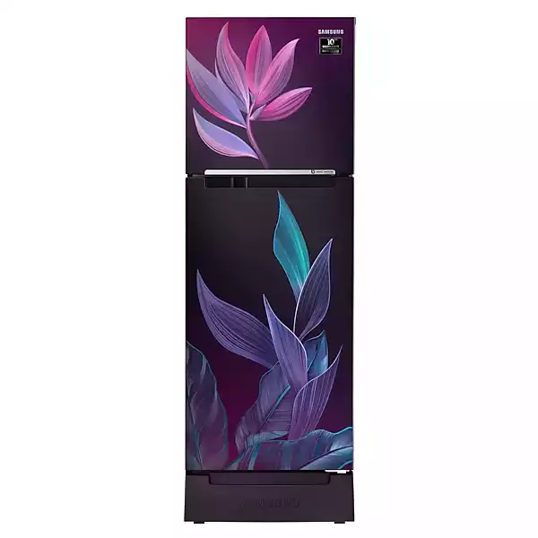 Samsung 253 L 2 Star Double Door Frost Free Refrigerator (RT28T31429R)