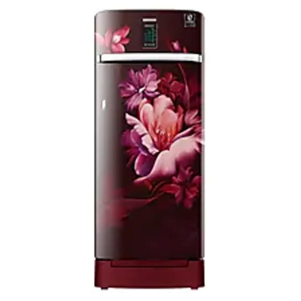 Samsung 220L Curd Maestro™ 4 Star  Single Door Refrigerator (RR23A2K3XRZ)