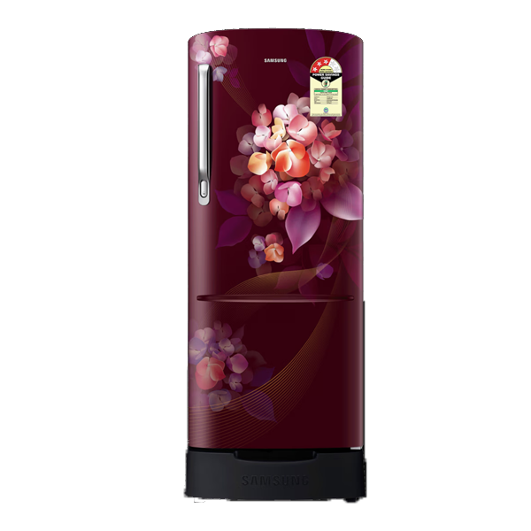 Samsung  223 L 3 Star Single Door Refrigerator (RR24H2823HT)