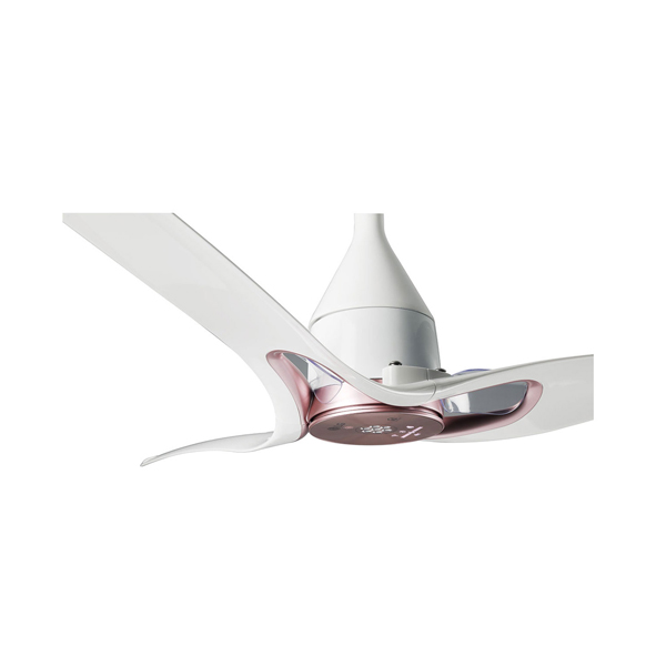 Lg Ceiling Fan With Dual Wings, Dual Blade Ceiling Fans Home