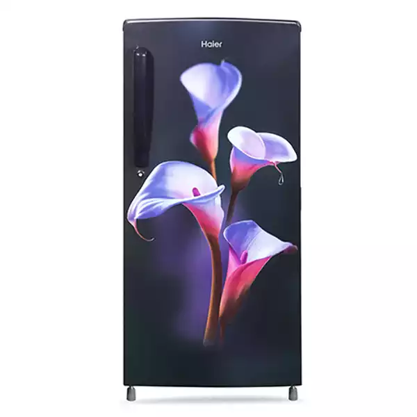 Haier 192 L 2 Star Direct-Cool Single Door Refrigerator (HRD1922CPC)